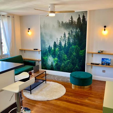 Le Nivolet, Cosy Appartement Chambéry Exteriér fotografie